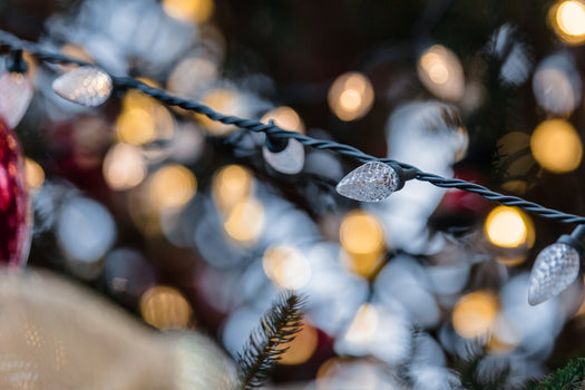 Winter Favourites