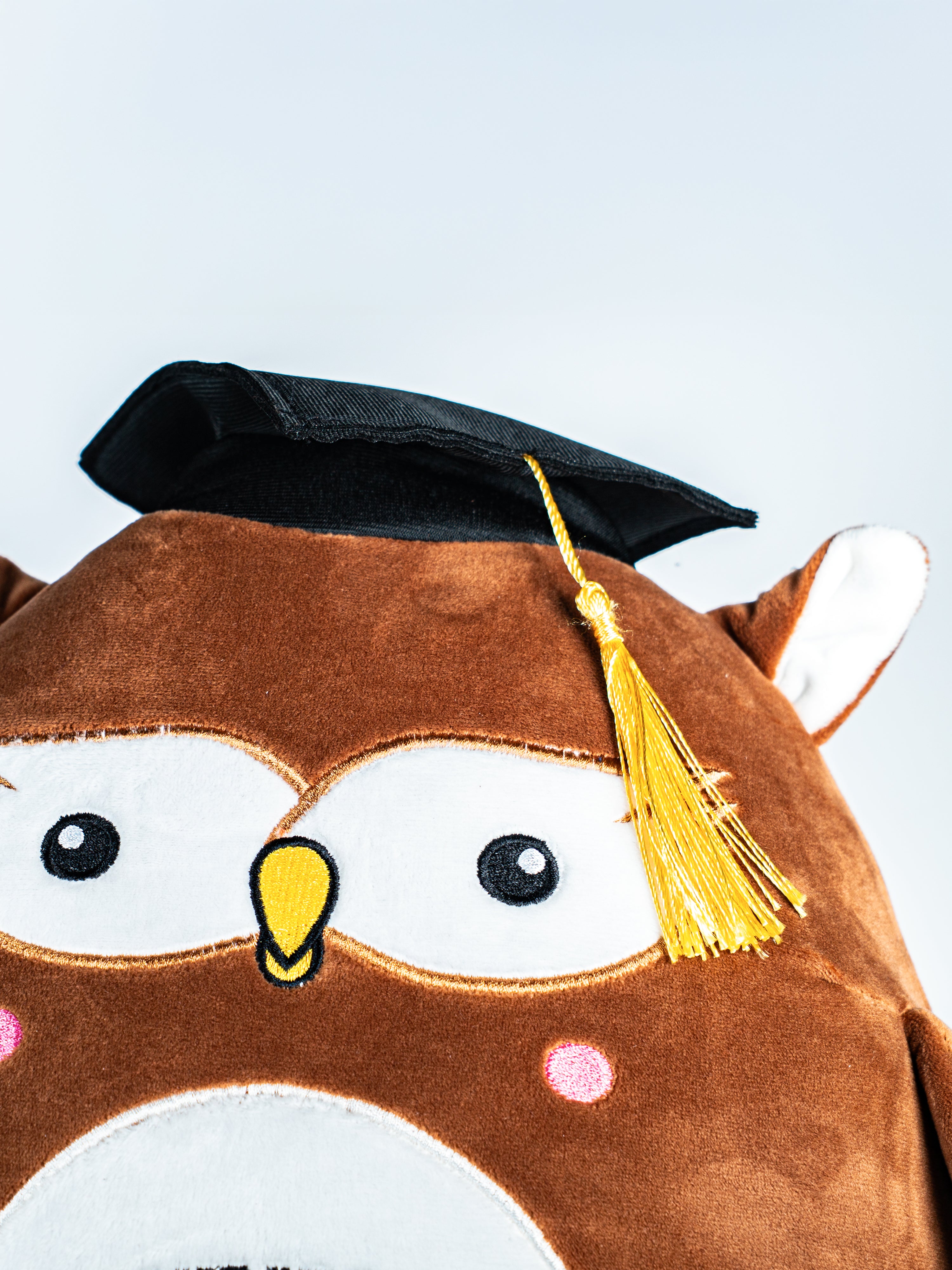 Graduation Owl – The Stash Shop